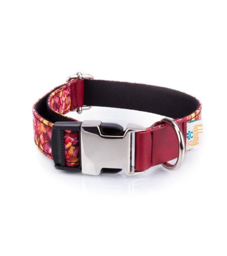 Collar Perro Funny Caramelos