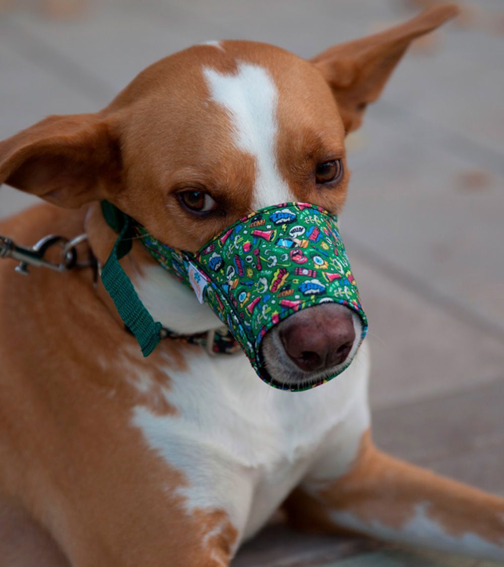 Bozal Perro Cómic Mouth - Imagen 2