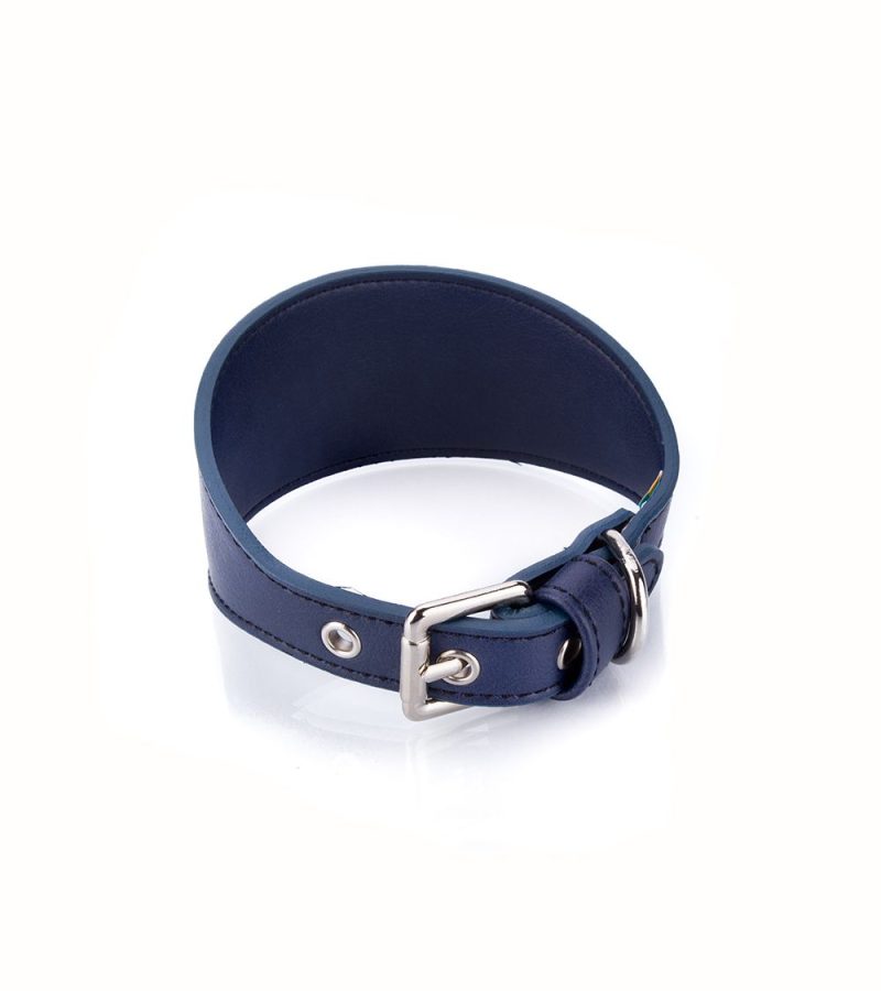 collar-vegano-galgo-azul