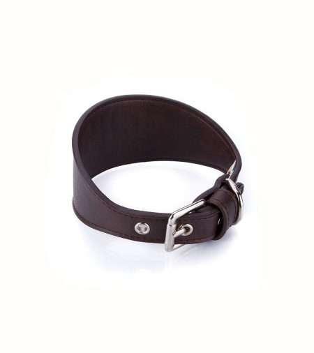 collar-vegano-galgo-marron