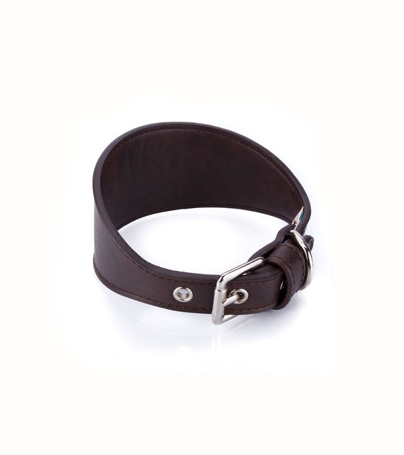 collar-vegano-galgo-marron