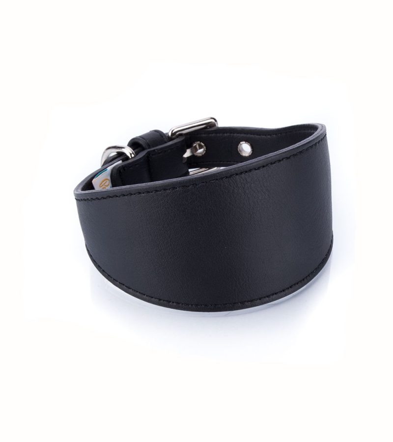collar-vegano-galgo-perro-negro