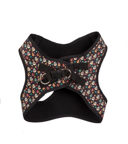 arnes perro calavera mexicana
