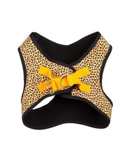 arnes pero leopardo amarillo