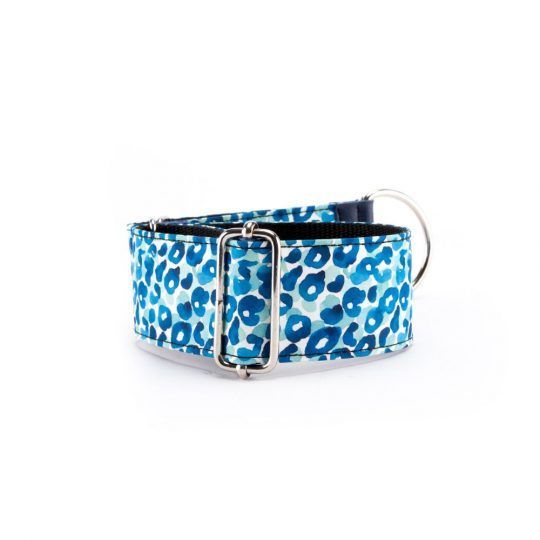 collar-martingale-galgo-leopardo-azul