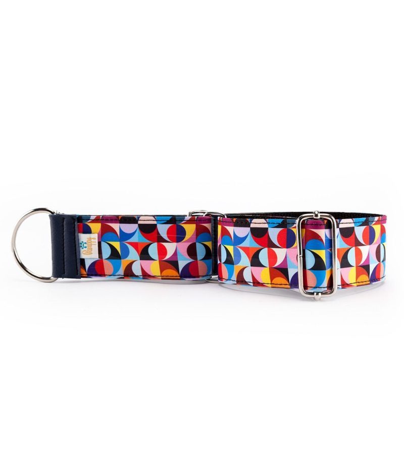 collar-para-galgos-retro-colors