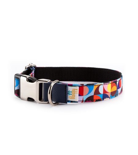 collar-perro-retro-colors