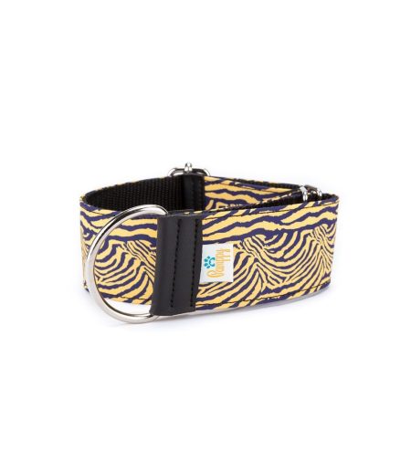 galgo-collar-cebra-amarilla