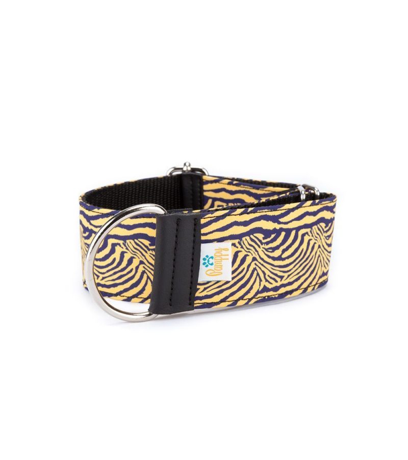 galgo-collar-cebra-amarilla