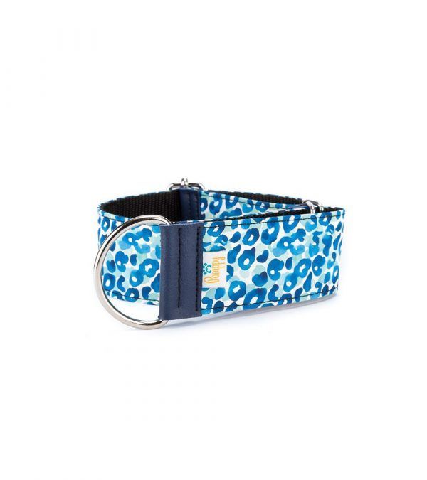 galgo-collar-leopardo-azul