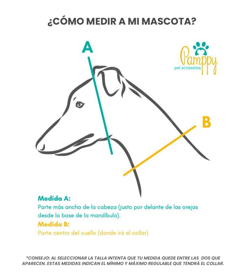 guia-tallas-perro-pamppy