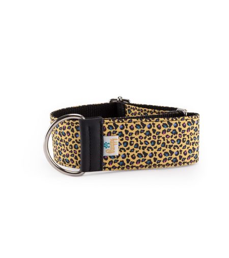 collar galgo speedy regulable leoaprdo amarillo