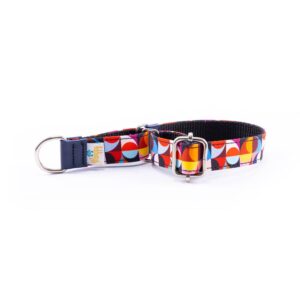 Collar Perro Pequeño Piccolo Retro Colors