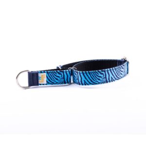 Collar Perro Pequeño Piccolo Cebra Azul