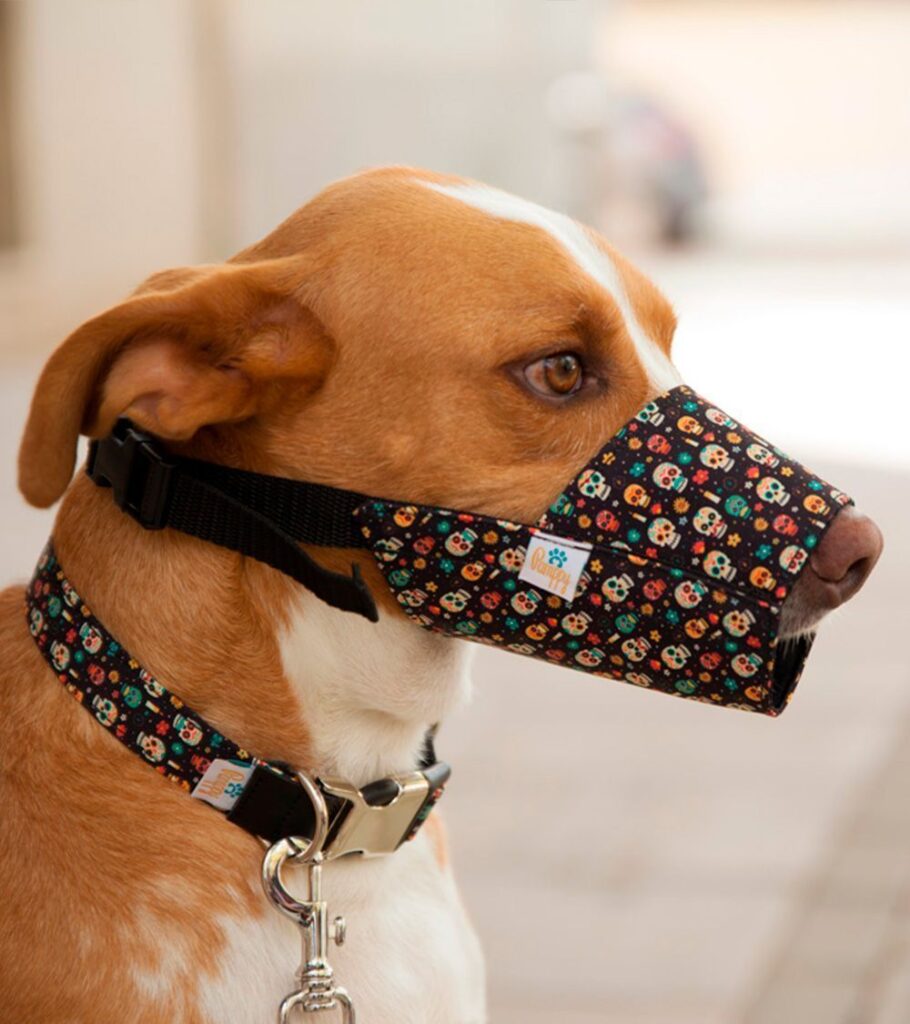 Bozal para perro con diseño de calavera mexicana