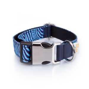 Collar Perro Funny Cebra Azul