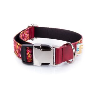 Collar Perro Funny Caramelos