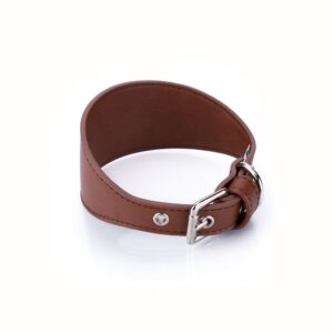 Collar Vegano Galgo Camel